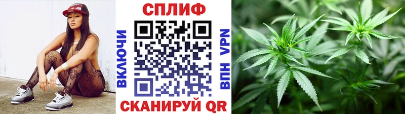 Псилоцибиновые грибы Кадников