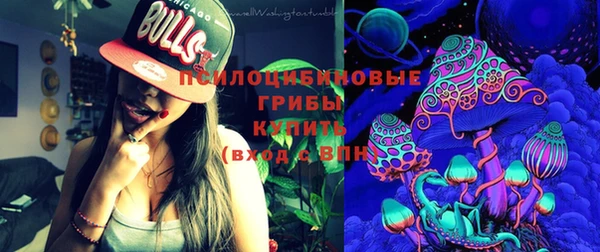 твердый Гусь-Хрустальный