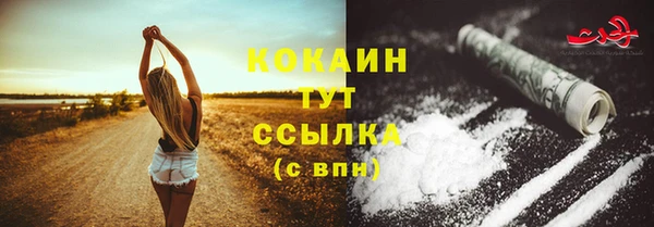 твердый Гусь-Хрустальный