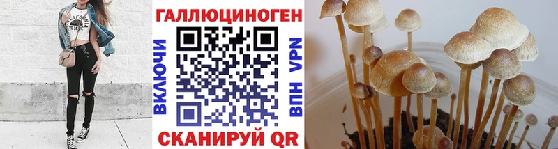 Купить где  Кадников  Псилоцибиновые грибы прущие грибы 